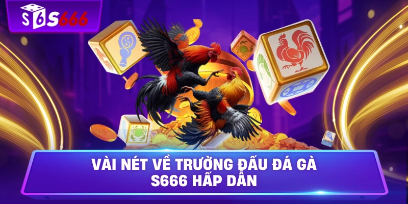 Vài nét về trường đấu đá gà S666 hấp dẫn